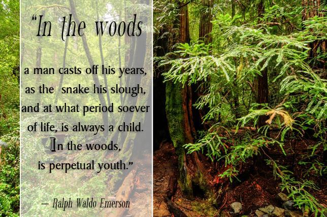 Love theses quotes - good for the soul - there is no hate