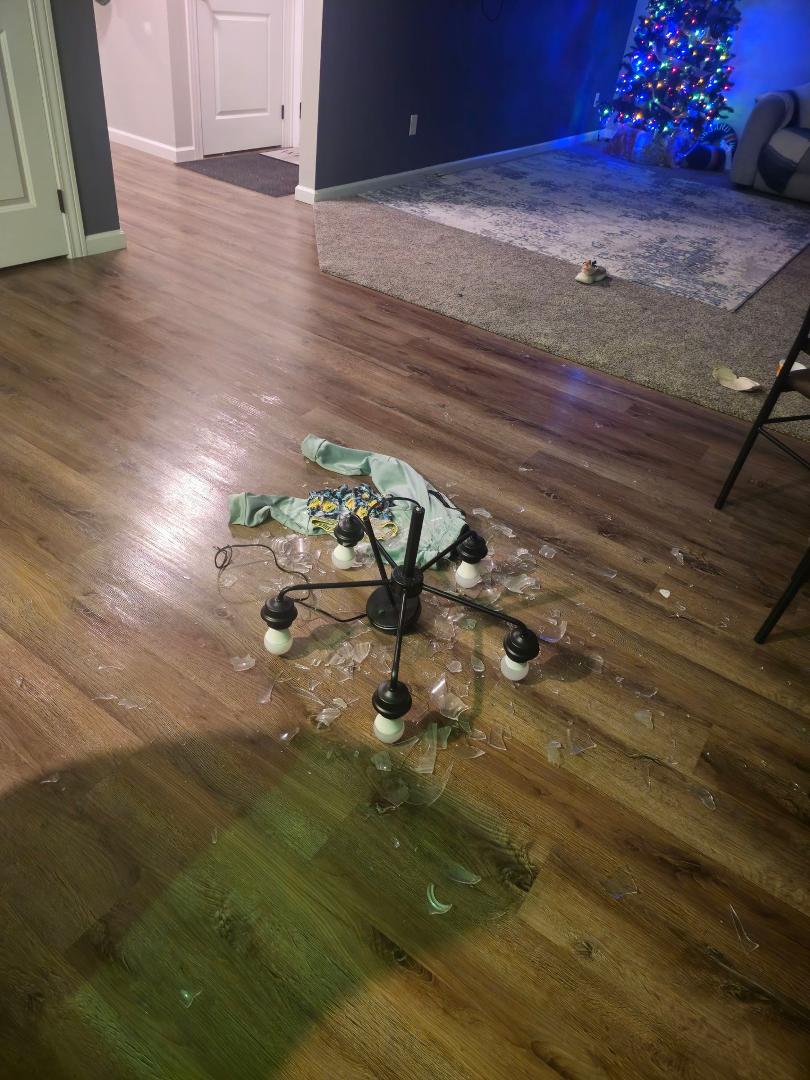 Elfing gone wrong