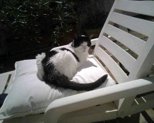 Gail Gleed's album, Mobile Uploads
