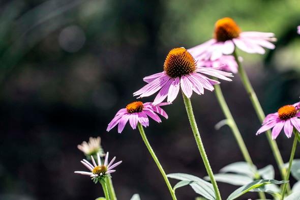 James Bair's album, Timeline photos