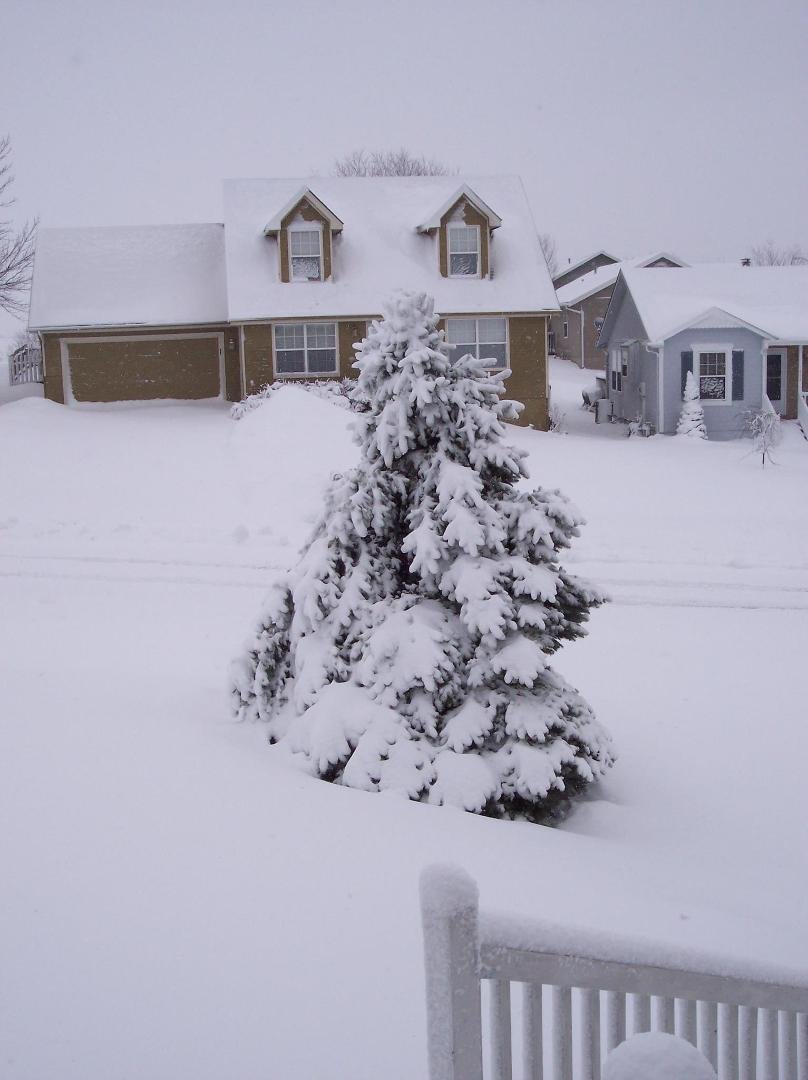 Larry Chapman's album, Timeline Photos