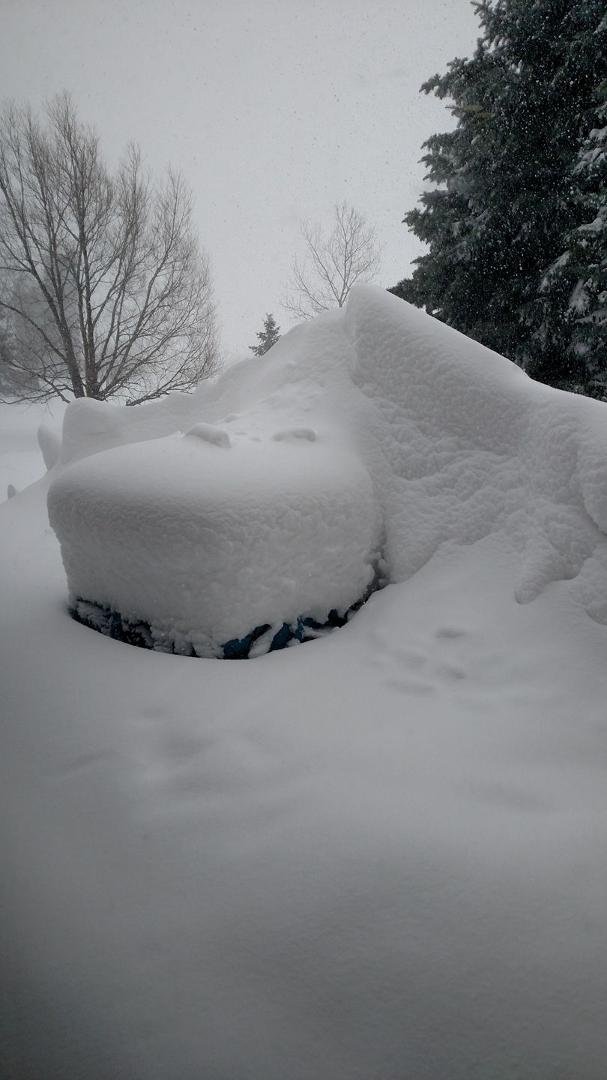 The snow pile just keeps growing...