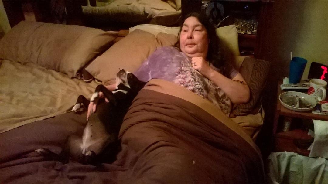 Gary Mayhew's album, Mobile Uploads