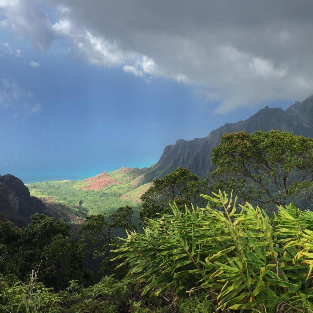 Drove to Waimea Canyon and back to Hanalei today.