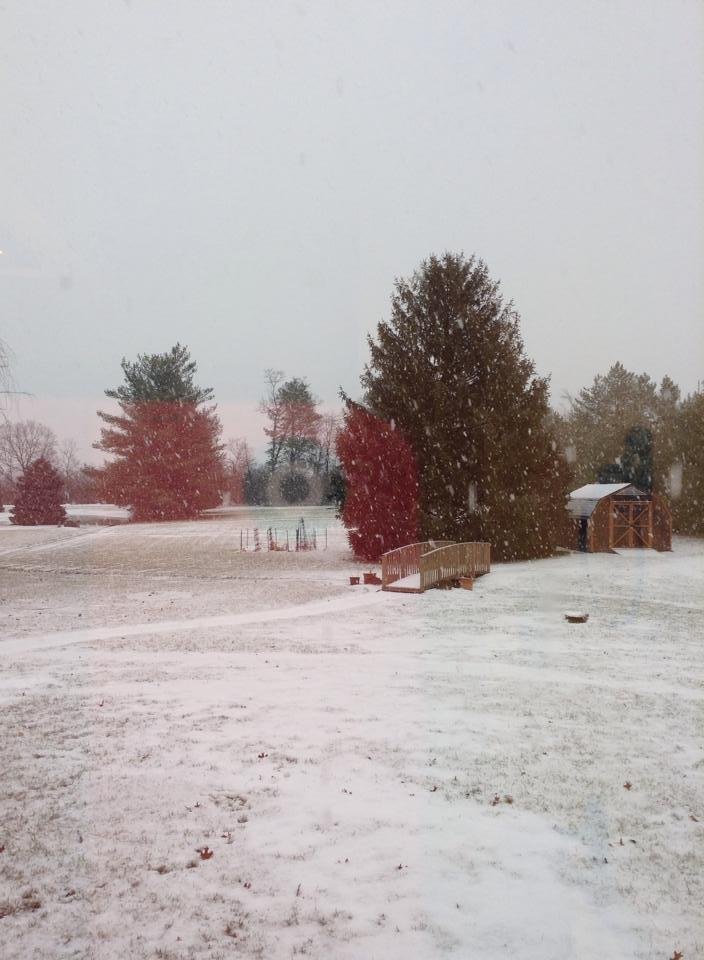 Big beautiful snow flakes