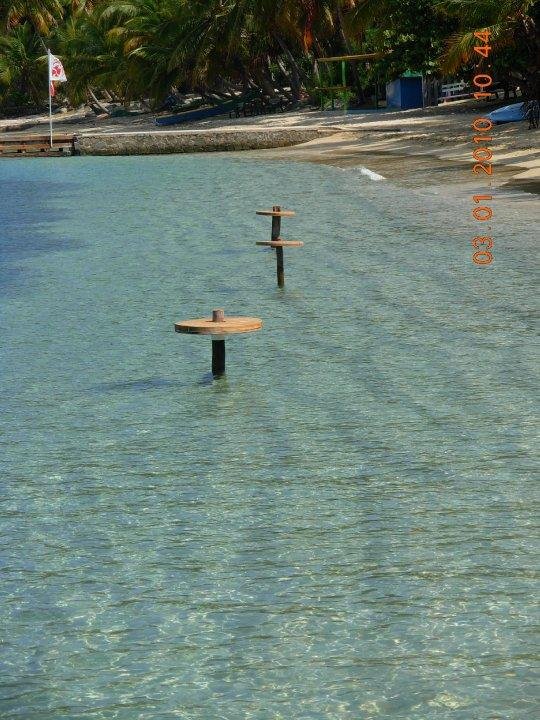 Stephen Little's album, 2010 March BVI