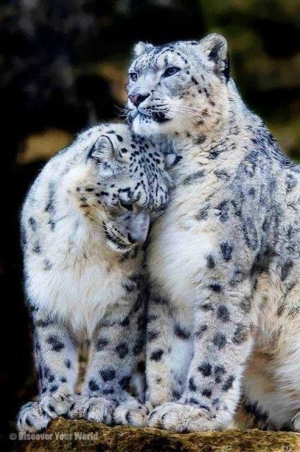 Just wanted to share this love.