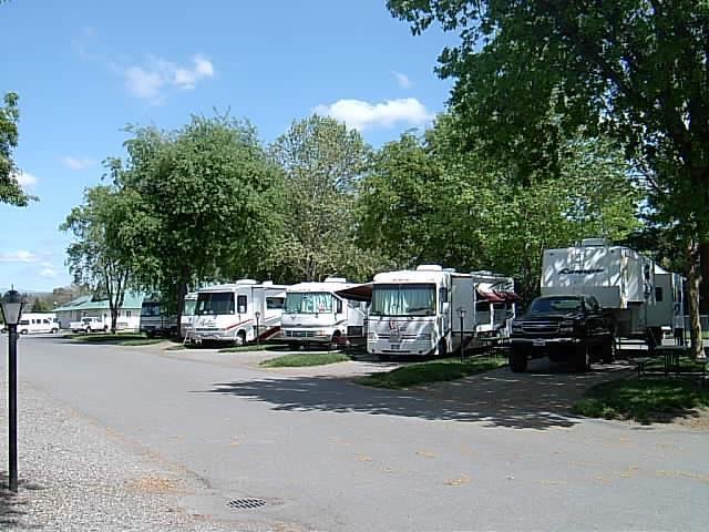 all Rexhalls of club members