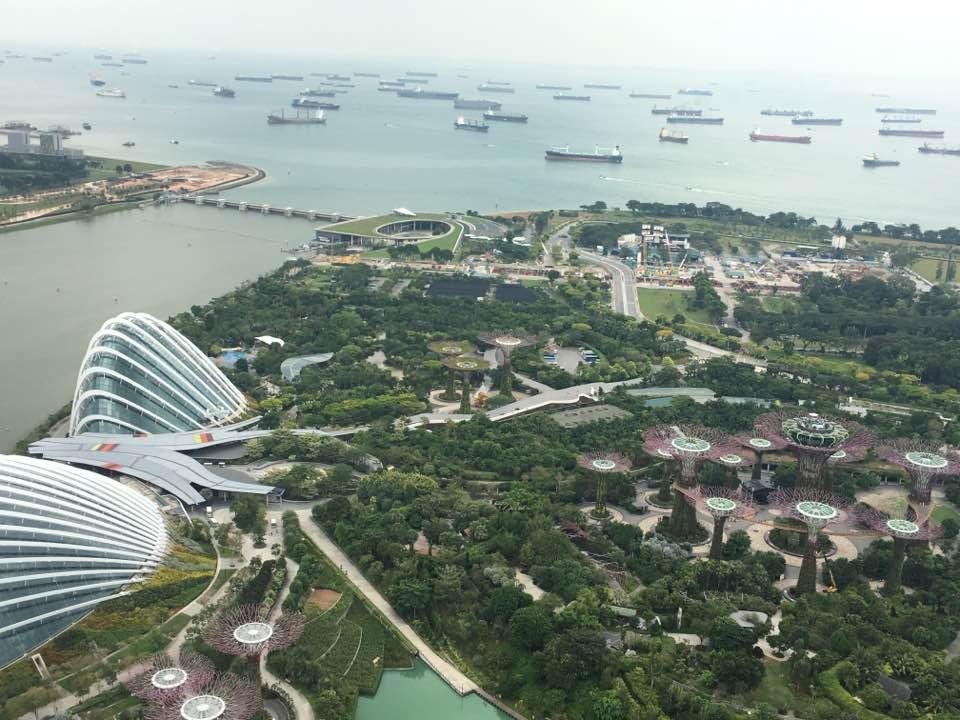 6 billion dollar view