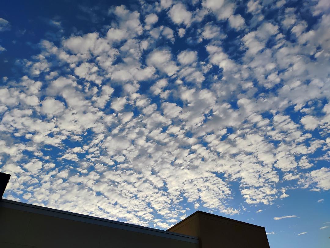 Cloud in Lehigh acres