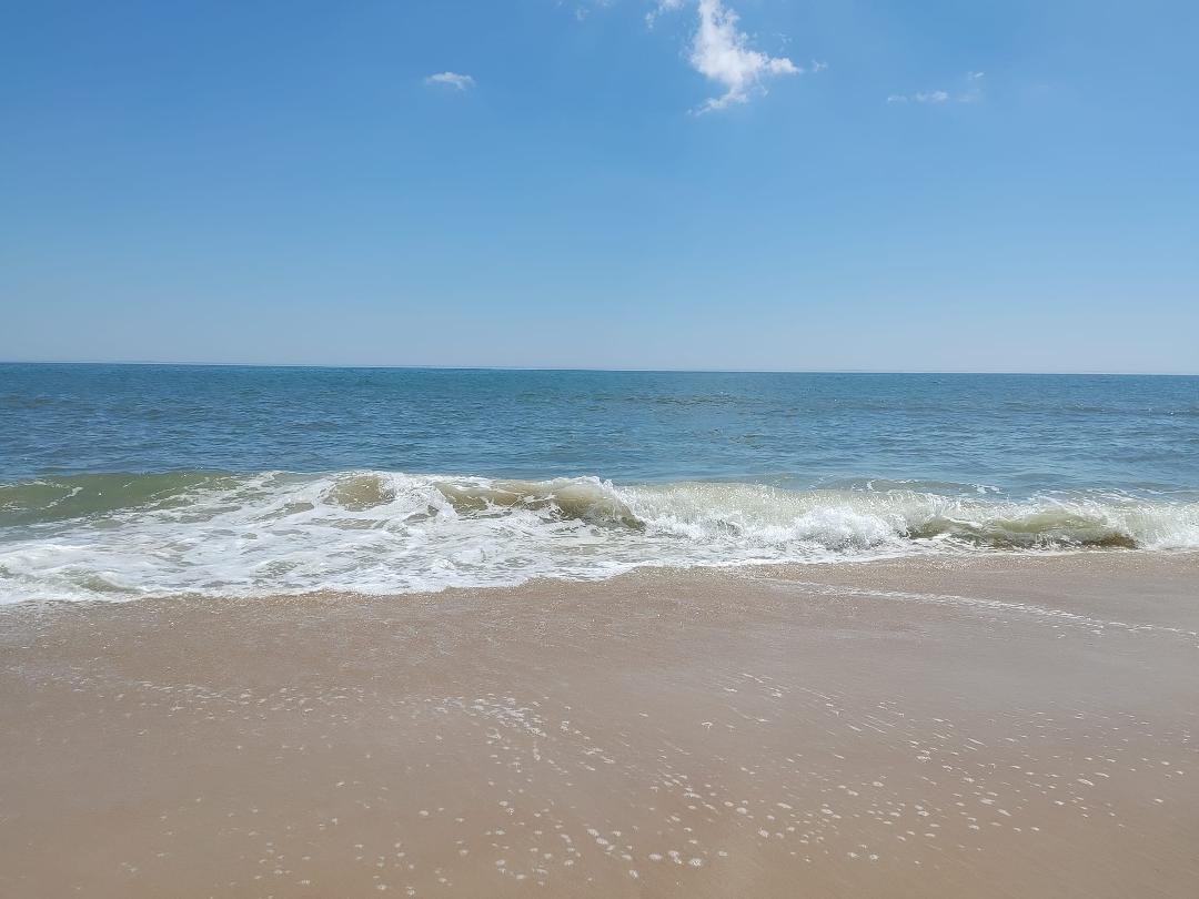 Perfect Day