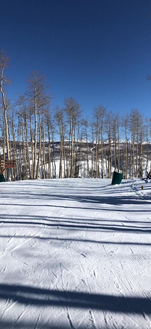 Bluebird Day, Perfect!