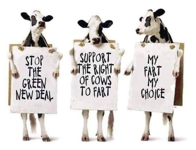 I support these cows efforts and right to fart