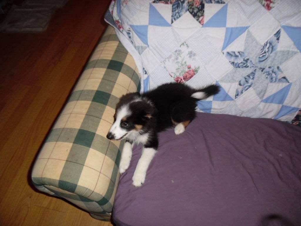William D Modlin Jr's album, Samsung Smart Camera