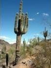 In 11 days I will be flipping the bird to this snow as I fly to the warmth and sunshine of Phoenix, AZ...aaahhhhh