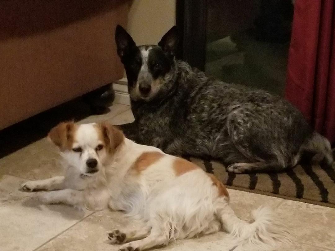 Dakurry and her bff Jaxs