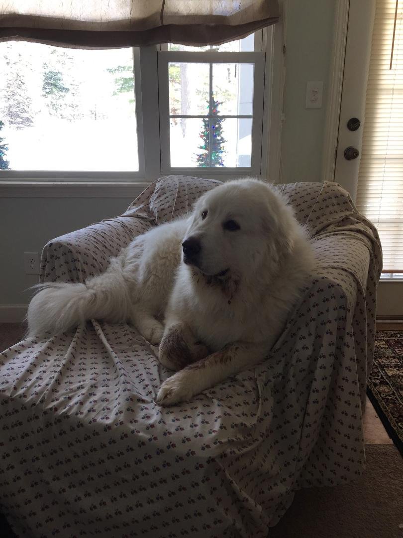New furniture arrived today, Oengus said we could keep it