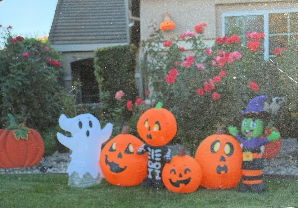 Happy 🎃 Halloween 👻