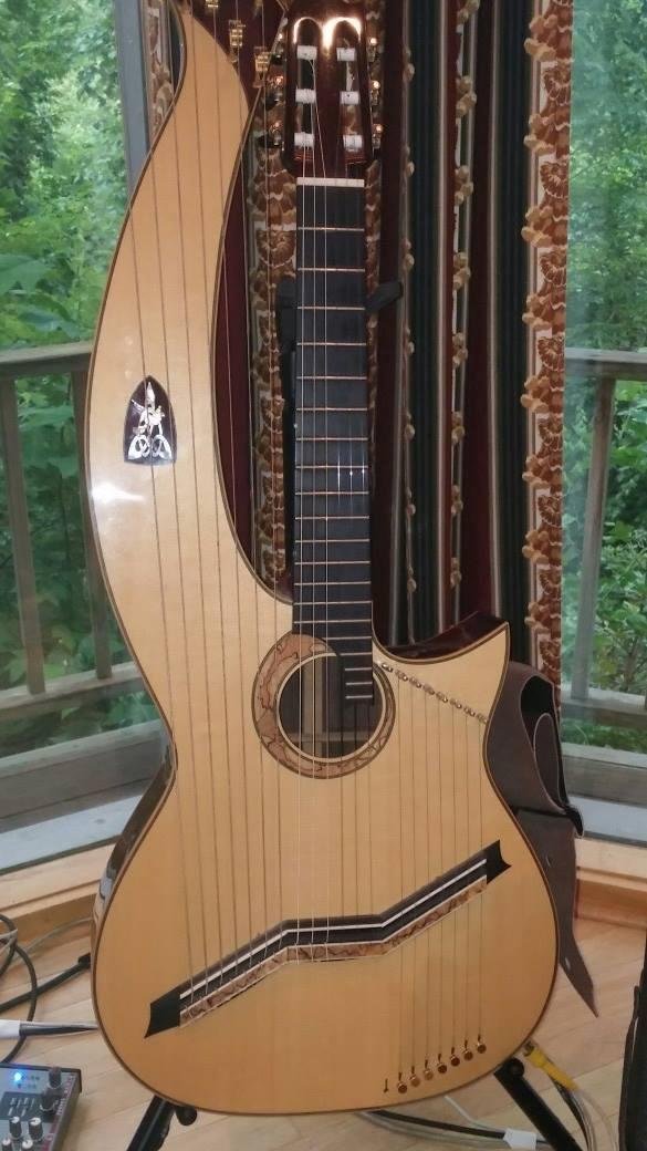 Muriel Anderson look her up. She was the fingerprinting champion. This is a harp guitar.