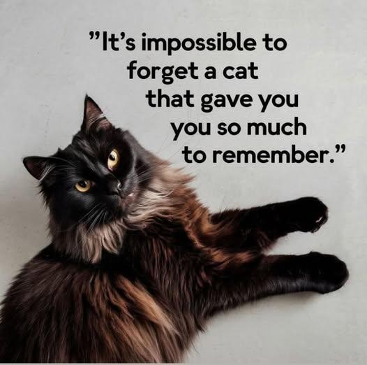 Donald Hopfe's album, Timeline photos