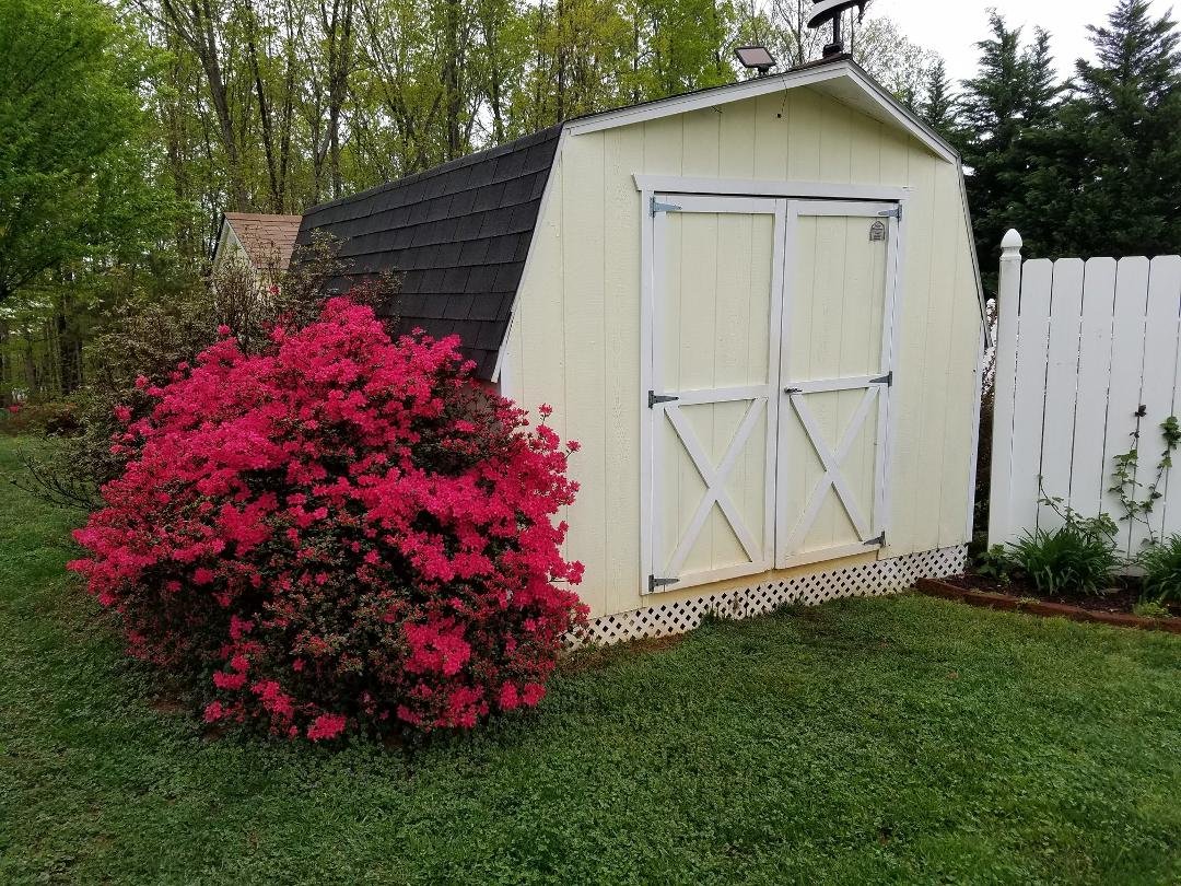 Tim Knoll's album, Timeline Photos