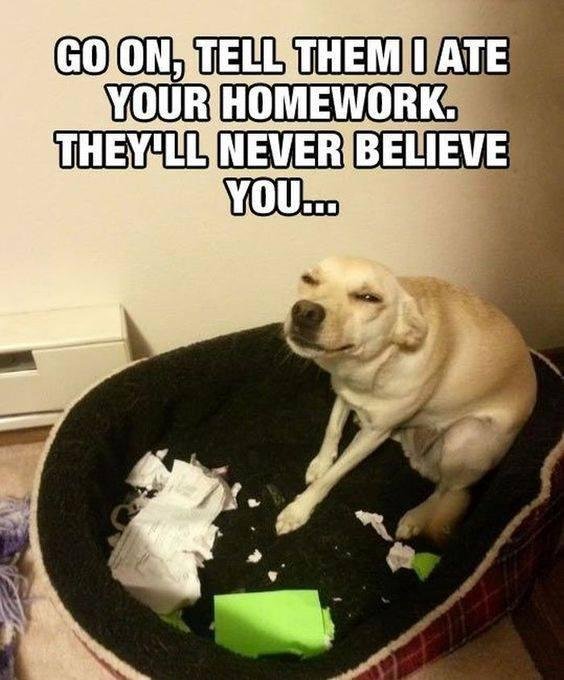 Jane Alvarez's album, Timeline Photos