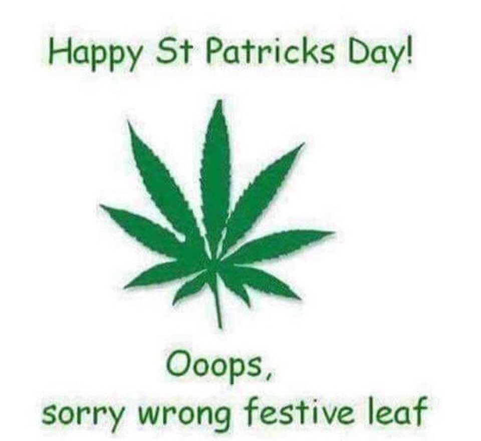 wishing all my fb peeps a happy st. patrick’s day!