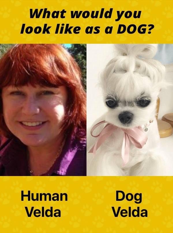I’m only amazed it didn’t show up as a Yorkie!