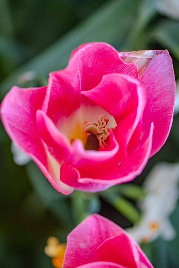 David Durkee's album, Mobile uploads