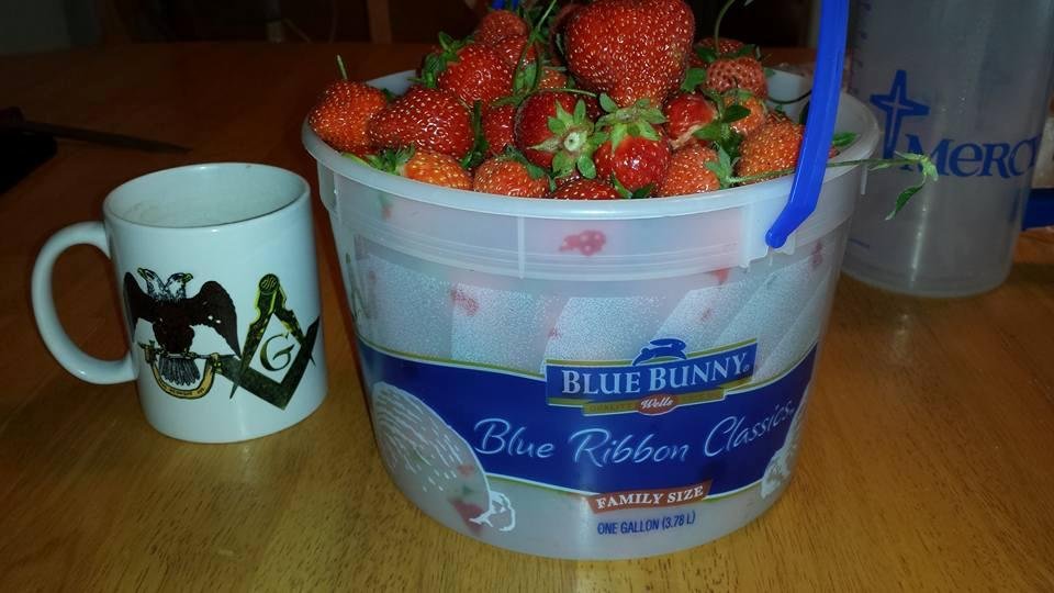 Over a gallon, going to freeze the remaining after shortcake.