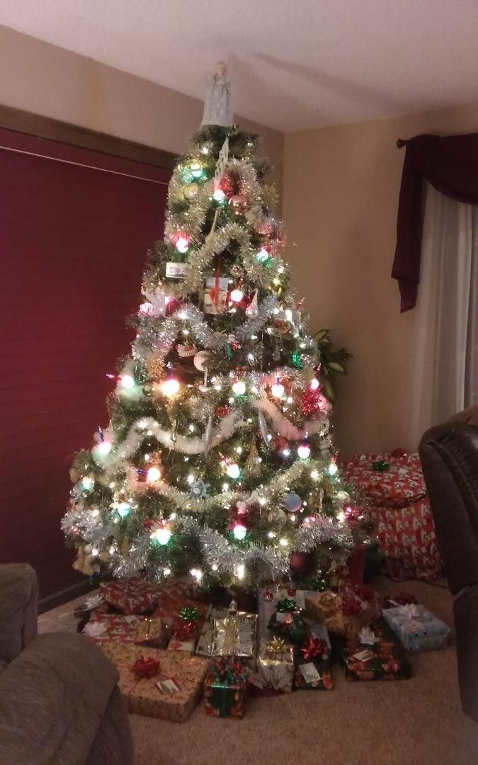 Our 2017 Christmas tree.