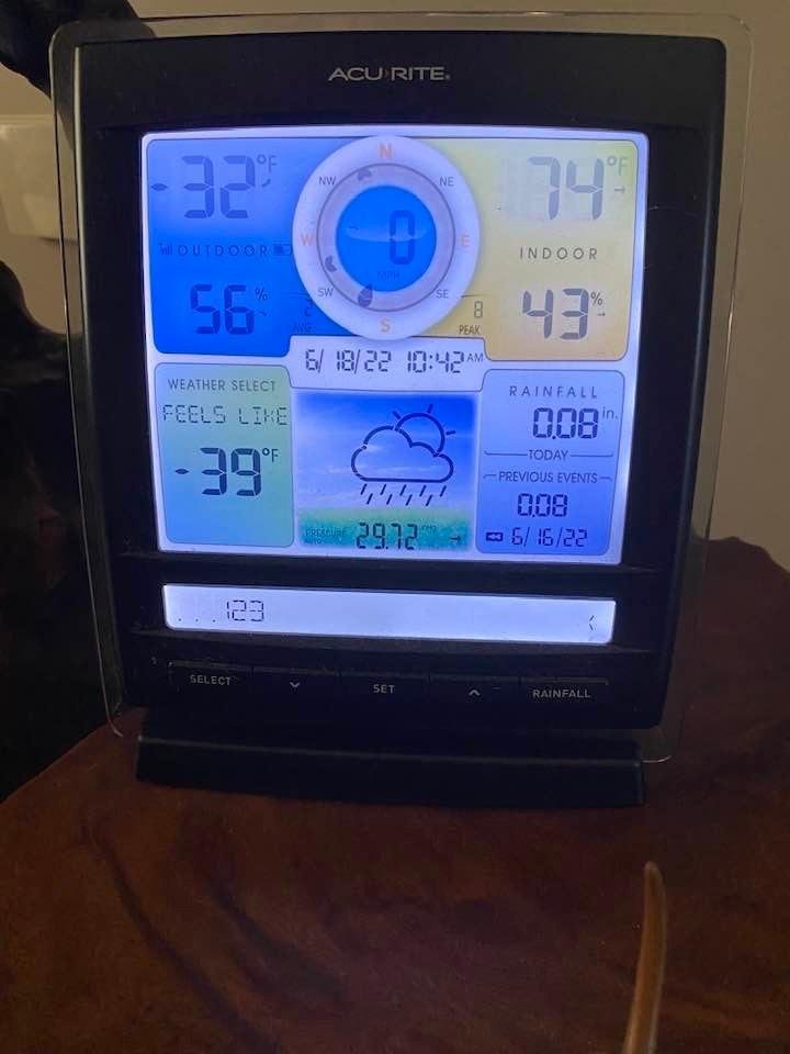 June 16. 2022 Newport NC. Had a cold snap briefly come through.