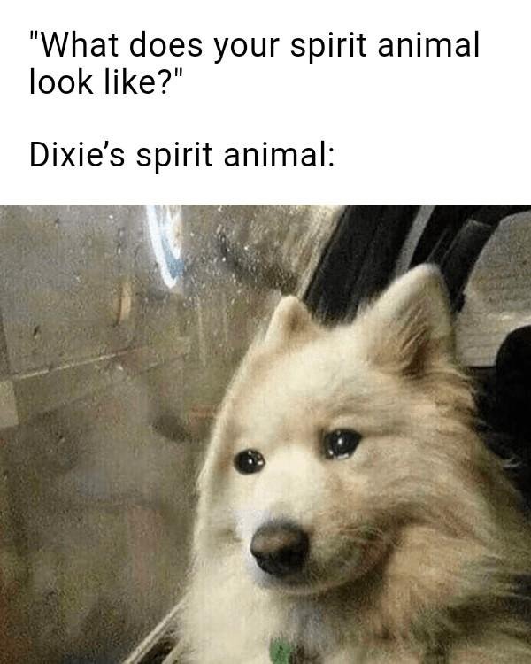 Dixie Boyer's album, Timeline photos