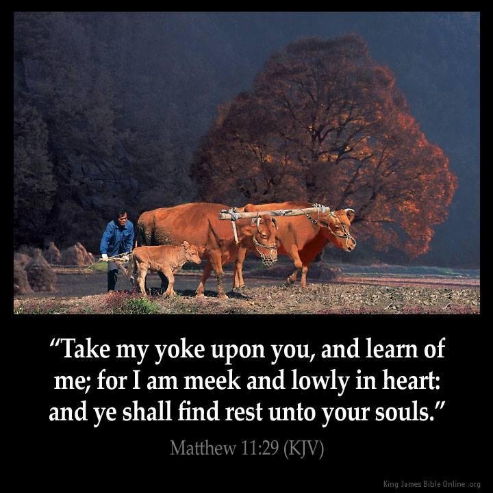 Matthew 11:29 KJV Take my yoke upon you, and learn of me; for I am meek and lowly in heart: and ye shall find rest unto your souls.