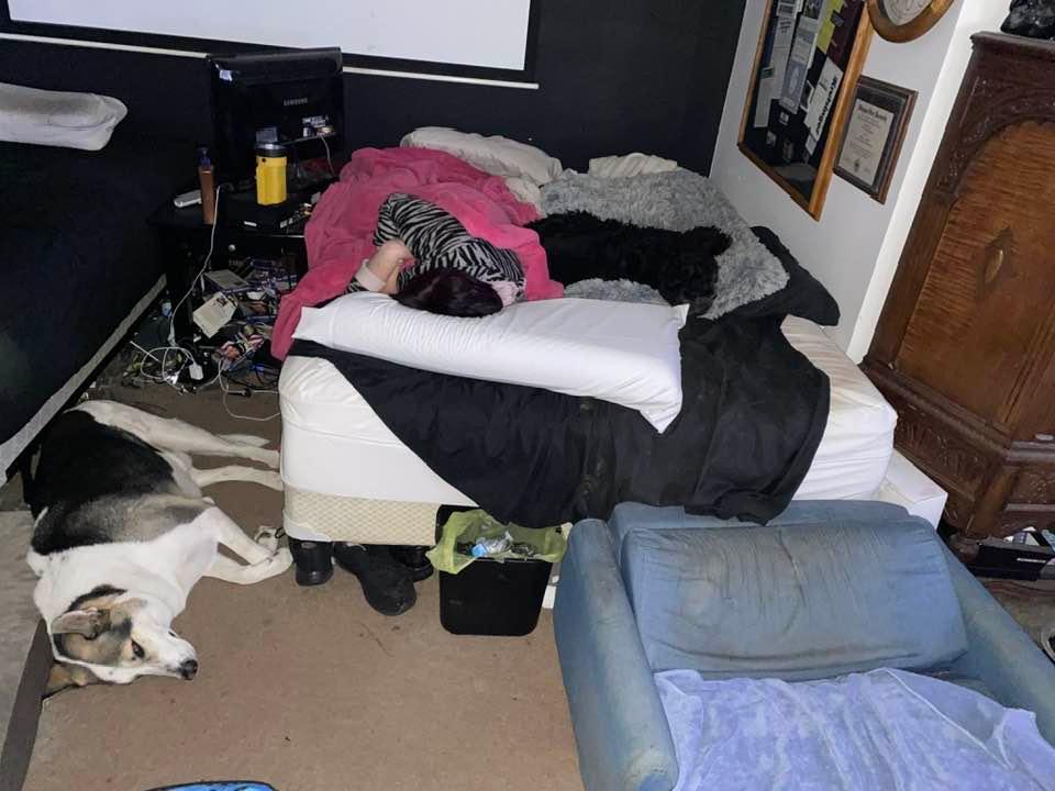 My wife, our dog, Buddy and dog Sophie catching a nap during 1st quarter of Chief’s game!