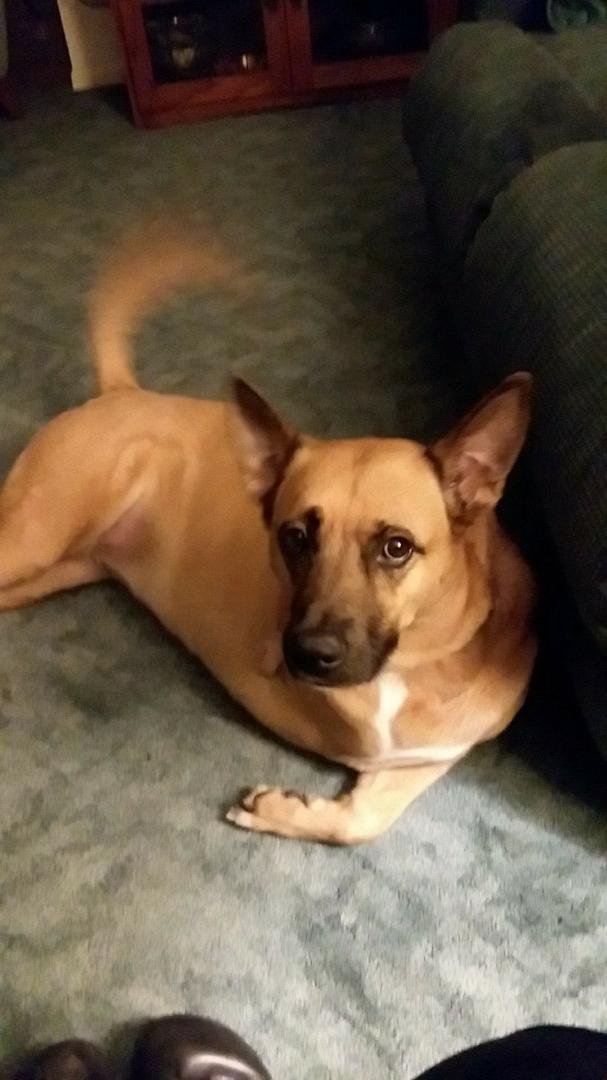 This is Sunny, almost 5 yrs old