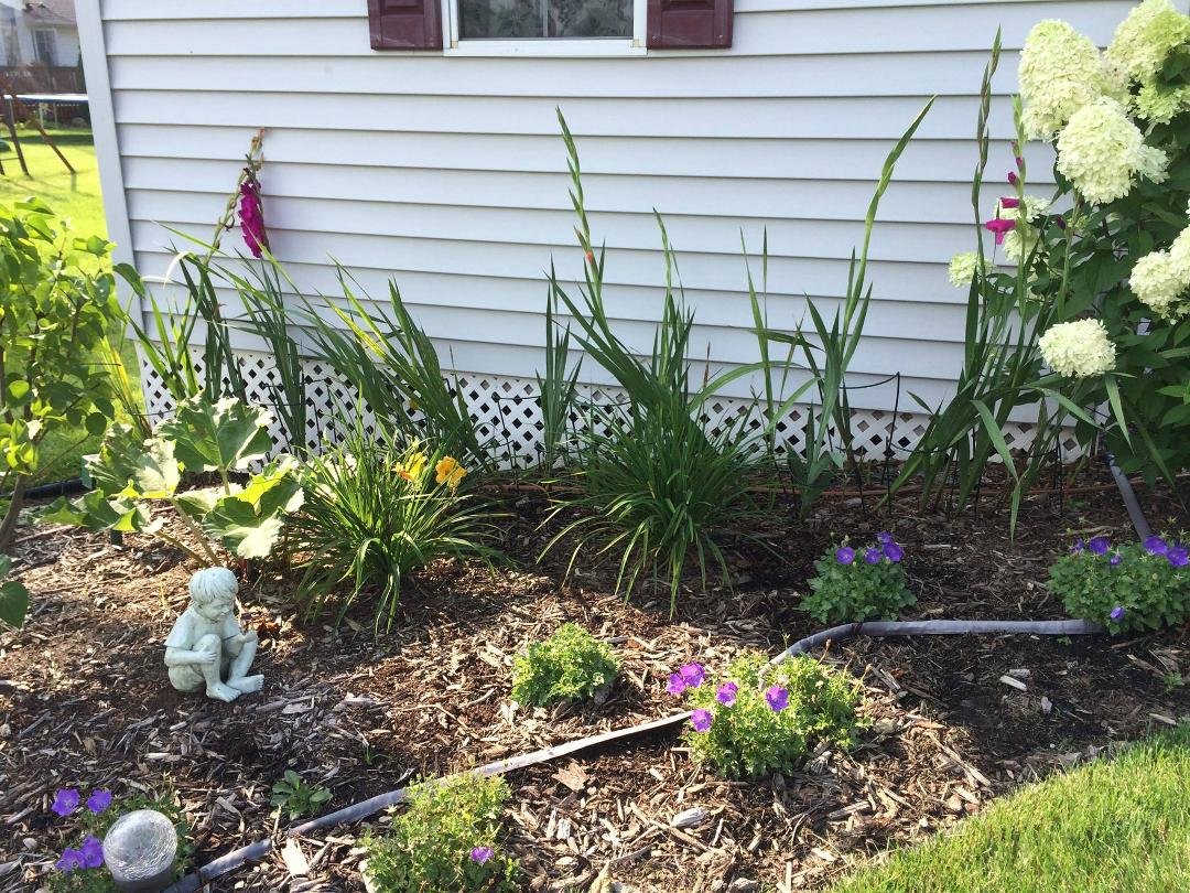Laura Katcha's album, Timeline Photos