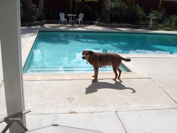Toby stands gaurd