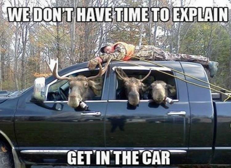 Kenneth Boswell's album, Timeline Photos