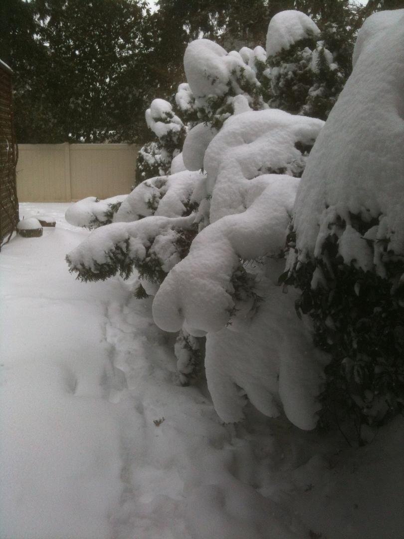 Mike Rabe's album, SNOW STORM 2014