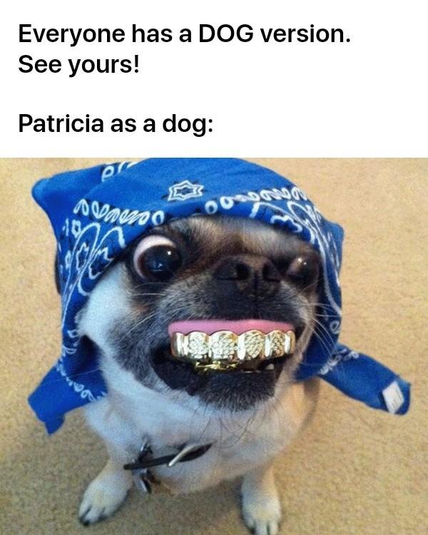 Patricia Baker's album, Timeline photos
