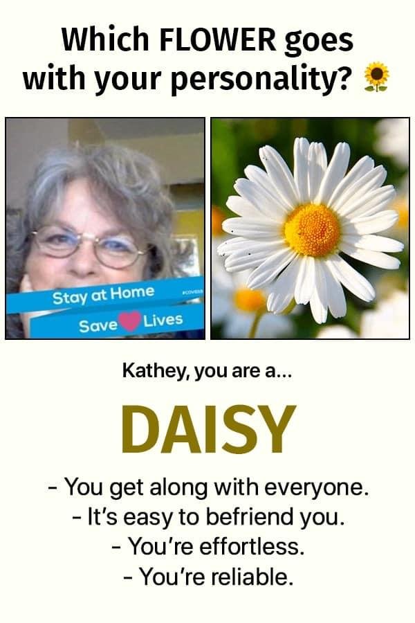 I love daisies! They’re such a happy friendly flower!