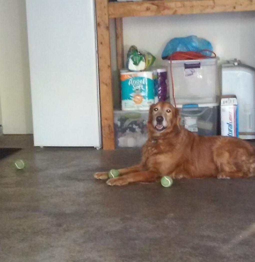 Lily playing at her special friends house, she has to visit Ralph and Rose Mary Billiter every day, they do spoil her and she loves it