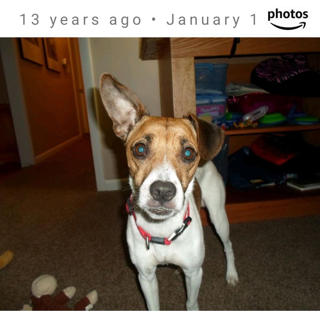 Buckey 13 years ago today