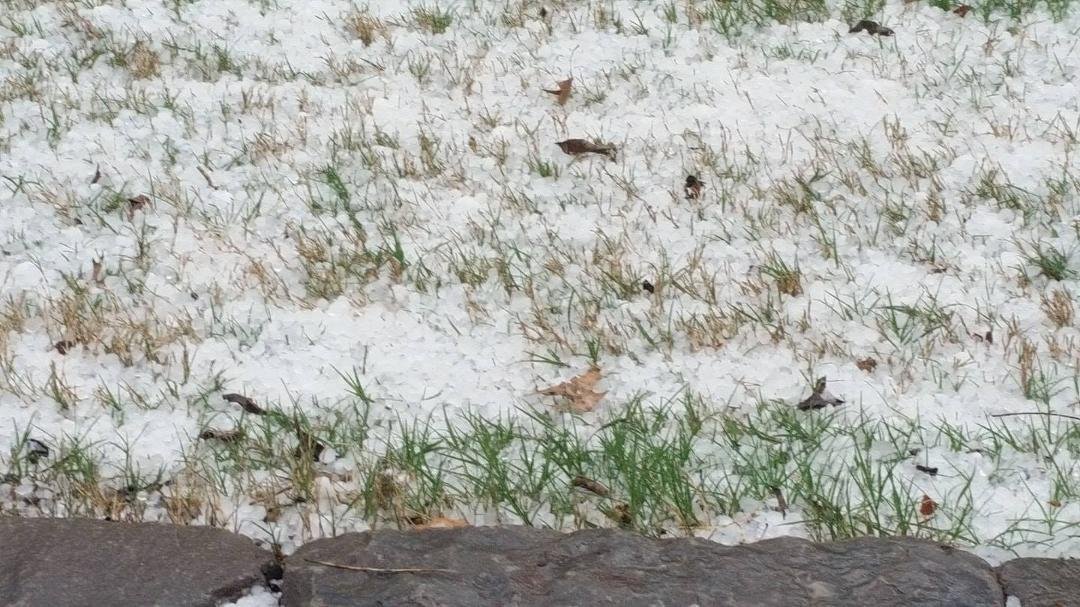 This is our lovely hail.