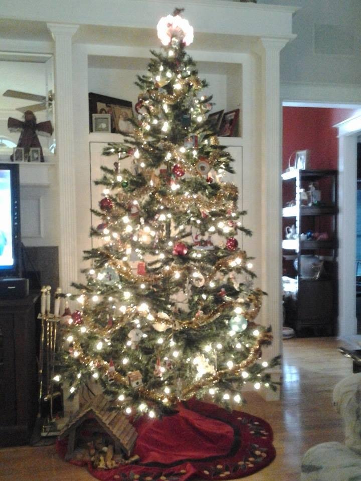 Tree up, after searching the forest for the perfect tree. I found one in my garage.
