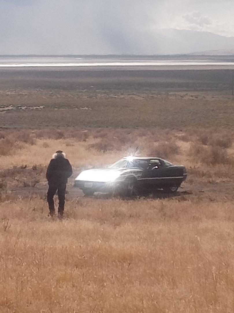 Stuart Anderson's album, Mobile uploads