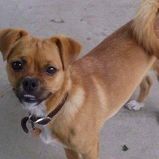 Zearl Robey's album, Timeline photos