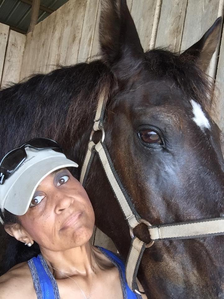 I am involved with a local Horse rescue where I recently rescued this gorgeous Saddlebred mare. The horses are purchased from Kill Pen Auctions where they are being sold to go to slaughter as horse meat is a commodity in Eu