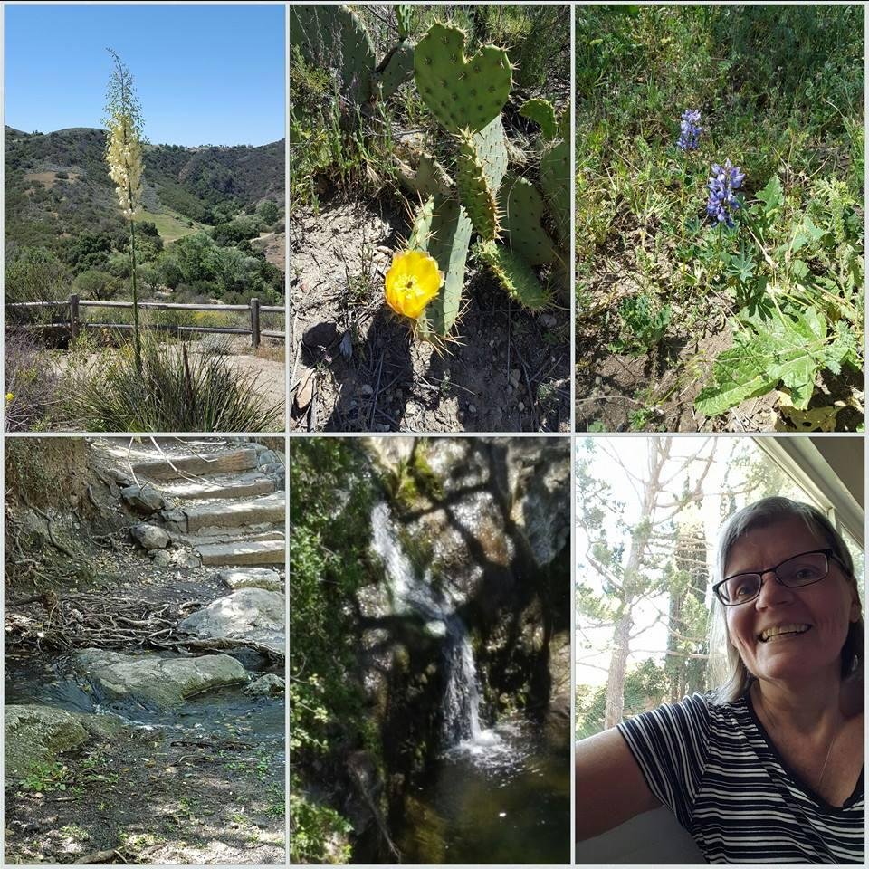 Survived my first hike in our "backyard ". It has been way too long!!!